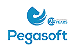 Pegasoft